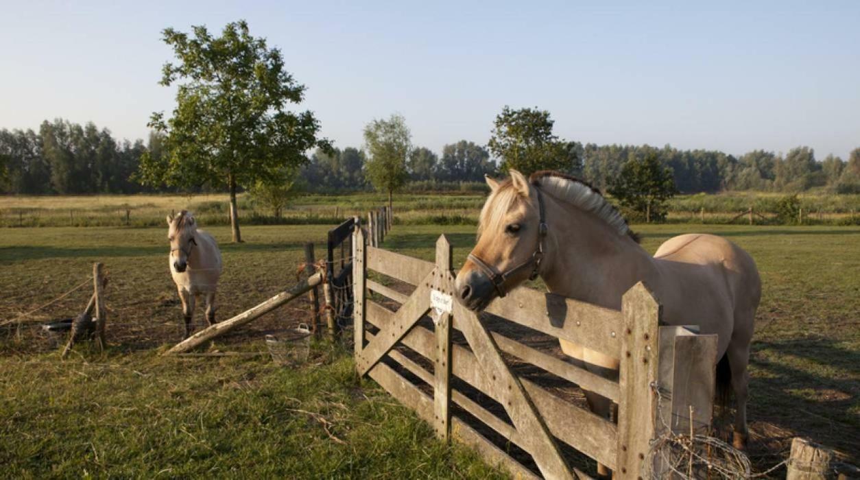 Hoeve De Pippert Hotel Ophemert Екстериор снимка